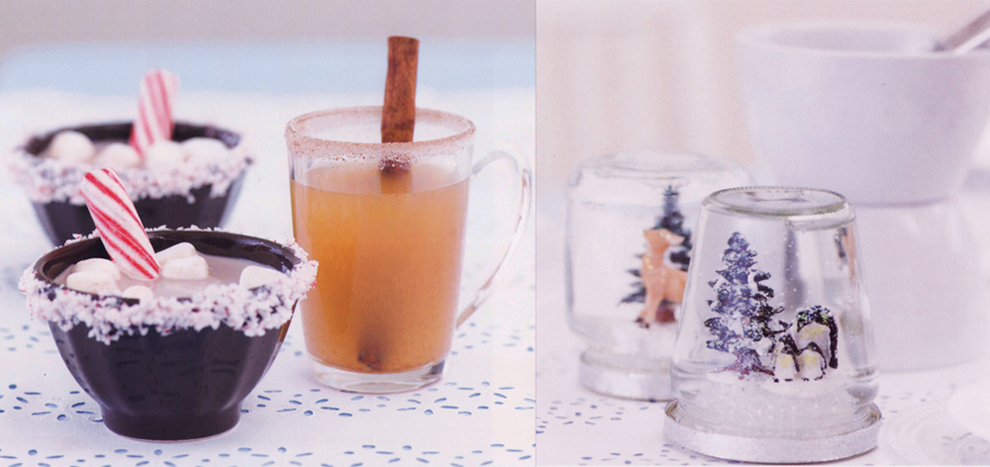 Williams Sonoma Kids Birthday Party Book Hot Chocolate and Cider and Williams Sonoma Kids Birthday Party Book Snowglobes