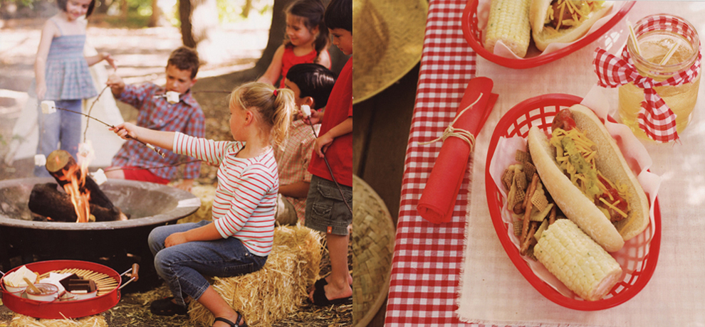 Williams Sonoma Kids Birthday Party Book Outdoor Party and Smores and Roasting Marshmallows and Williams Sonoma Birthday Party Book Outdoor Tablesetting and Hotdogs